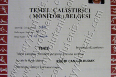 Monitor belgesi - 2002