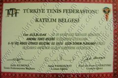 6-16 yaş arası oyuncu gelişimi için katıldığım tenis antrenör semineri - 2003